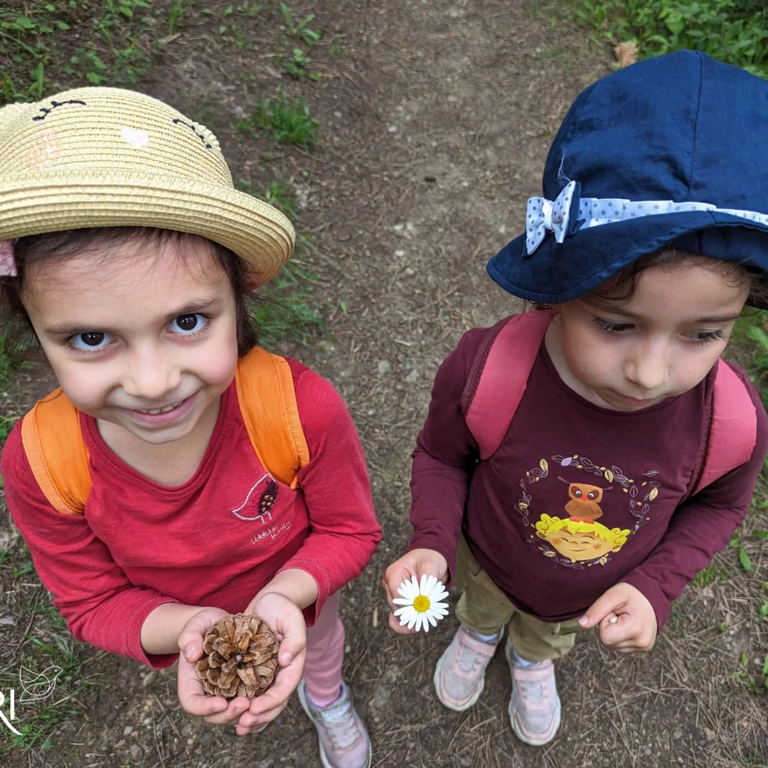 Kids Hike: Drunken Forest and the “EYE” Mirror Cube