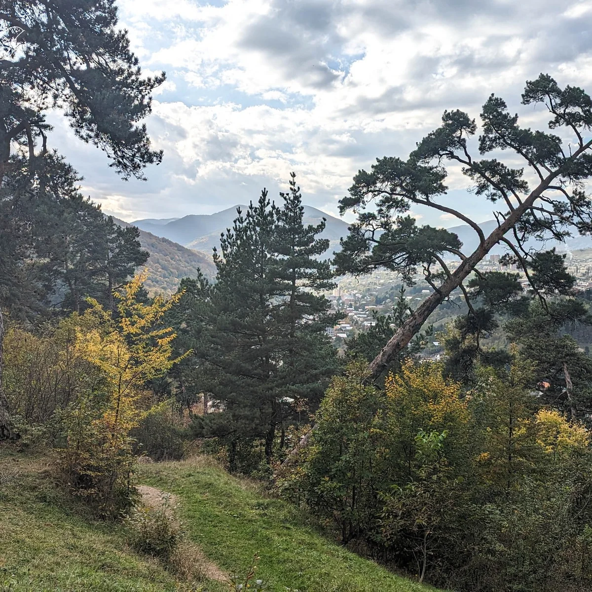 Kids Hike: Drunken Forest and the “EYE” Mirror Cube