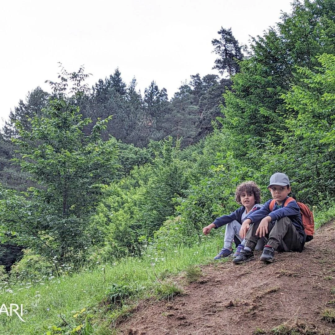 Kids Hike: Drunken Forest and the “EYE” Mirror Cube