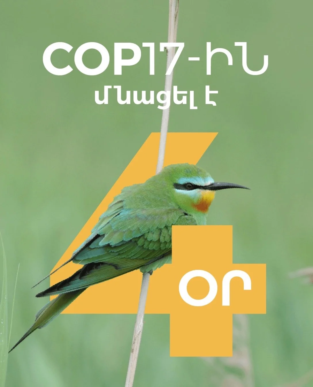 COP17