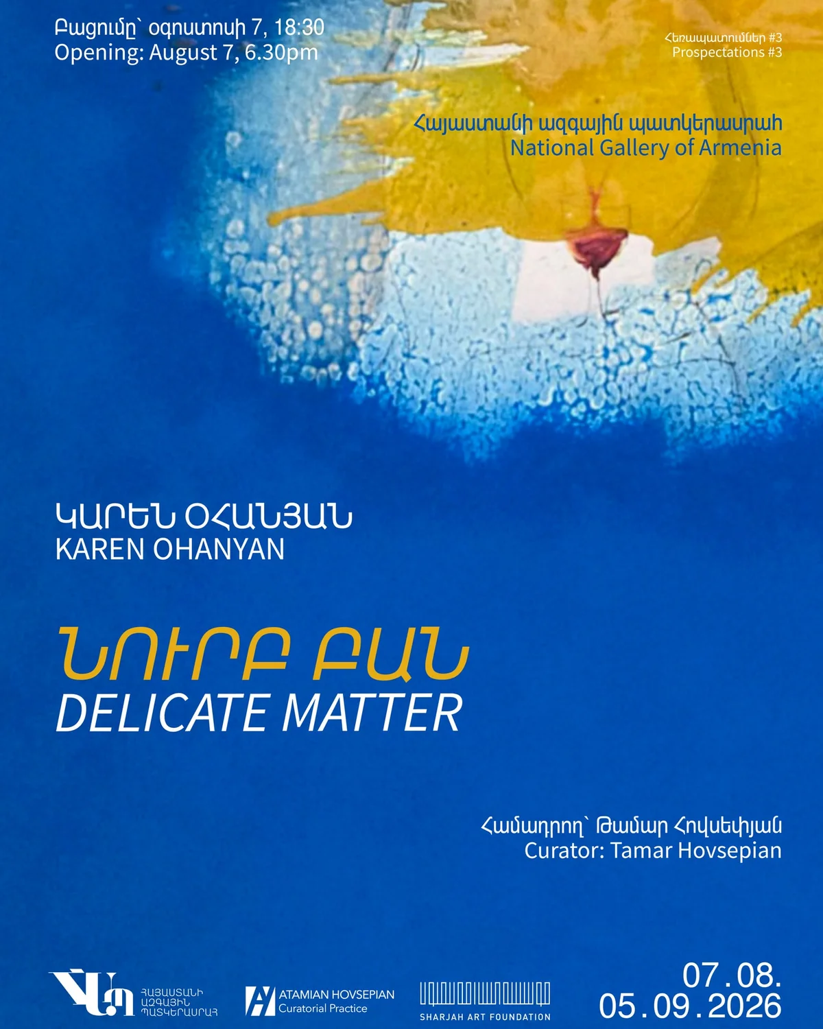 Karen Ohanyan: Delicate Matter
