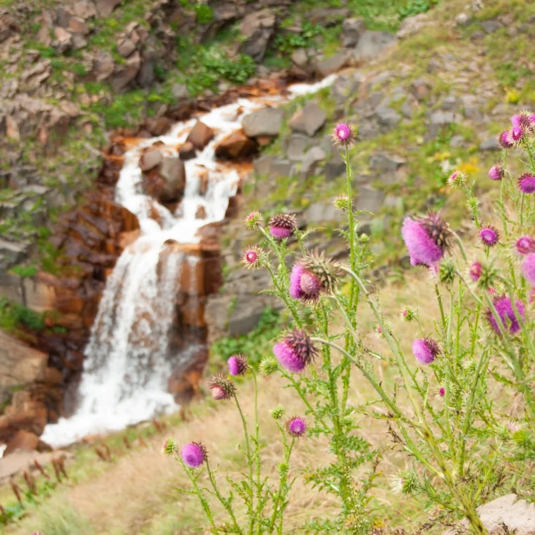 Vardavar Hike to Gegharot Waterfall