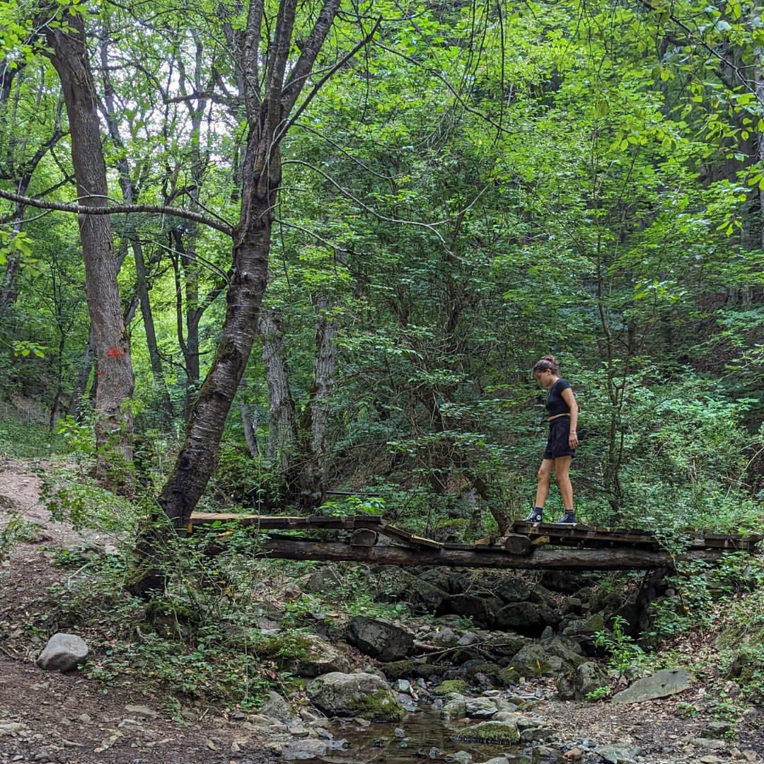 Kids Hike and Reading in Akhnabat Forest