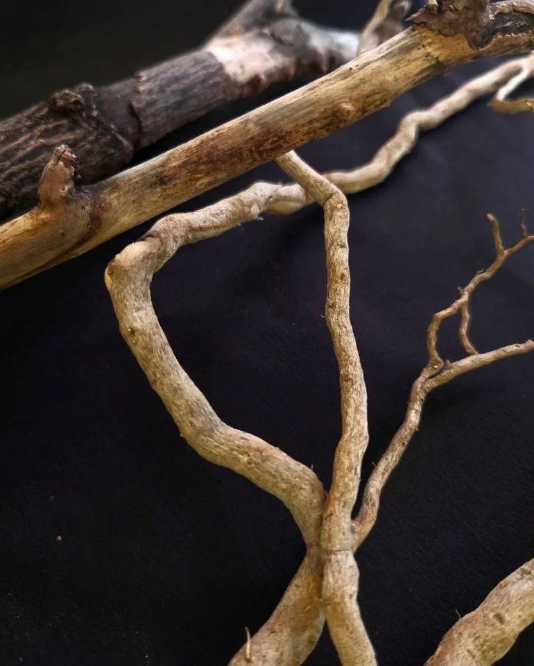 Forest Dreamcatcher Workshop