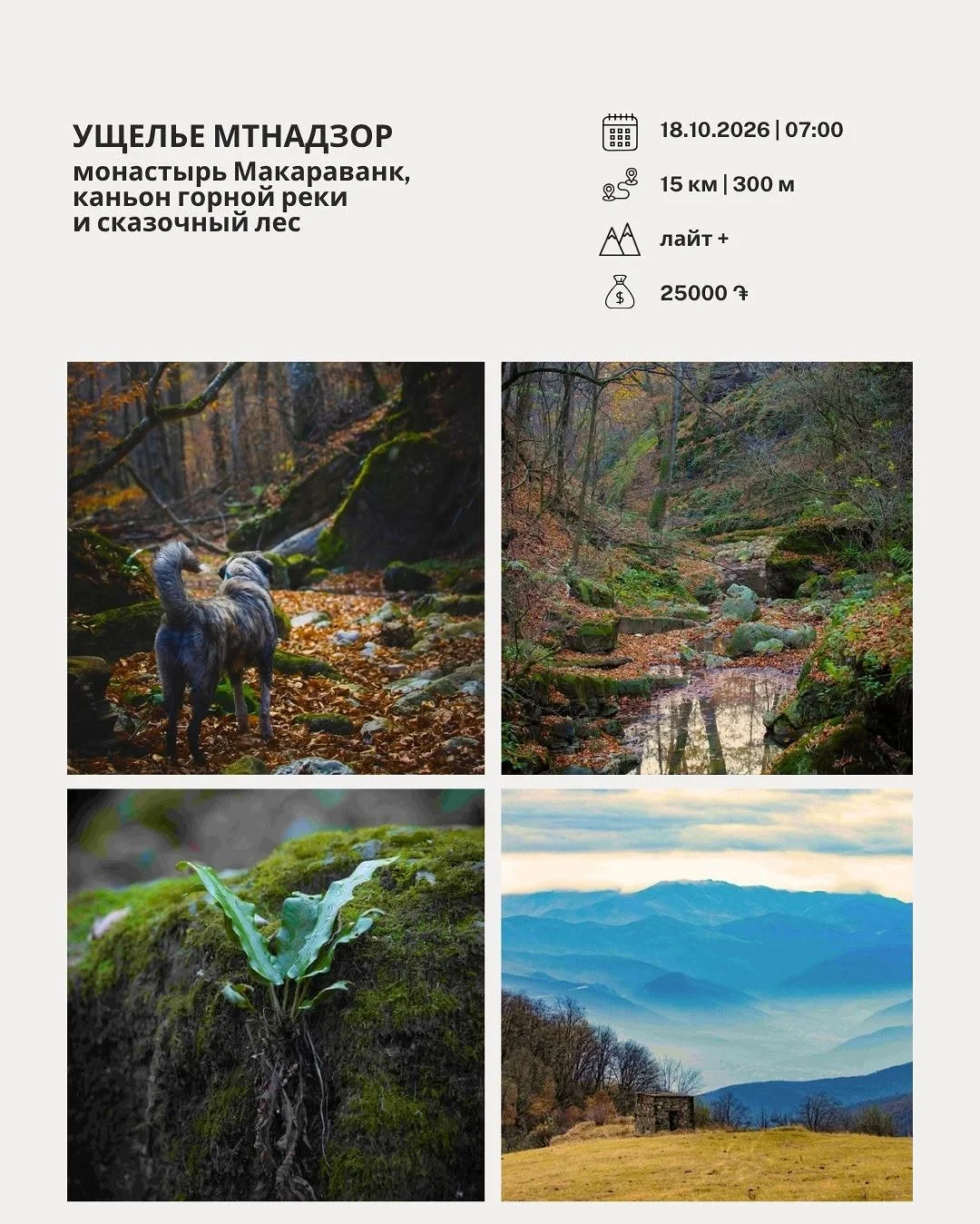 Поход в ущелье Мтнадзор