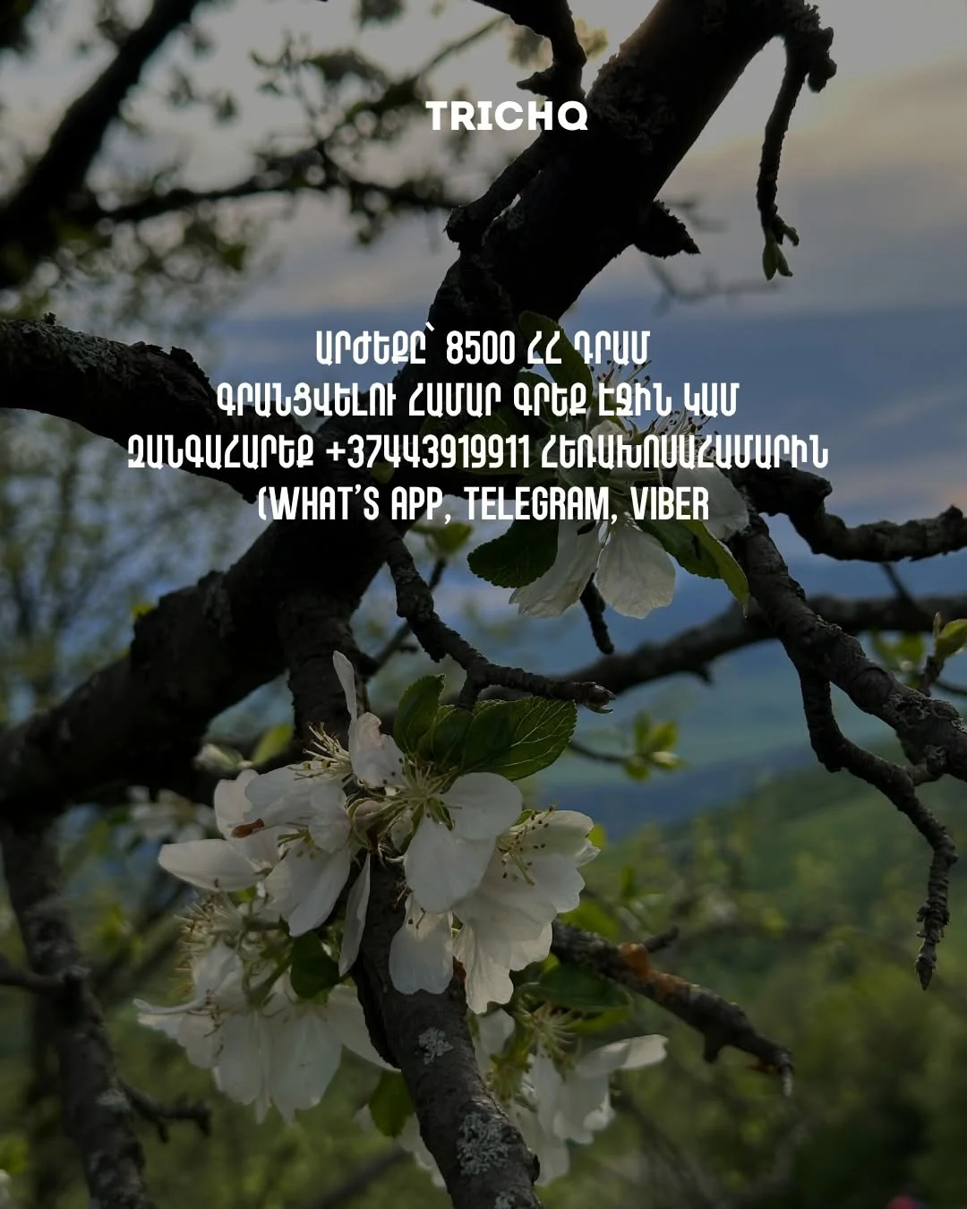Վերելք Արայի լեռ