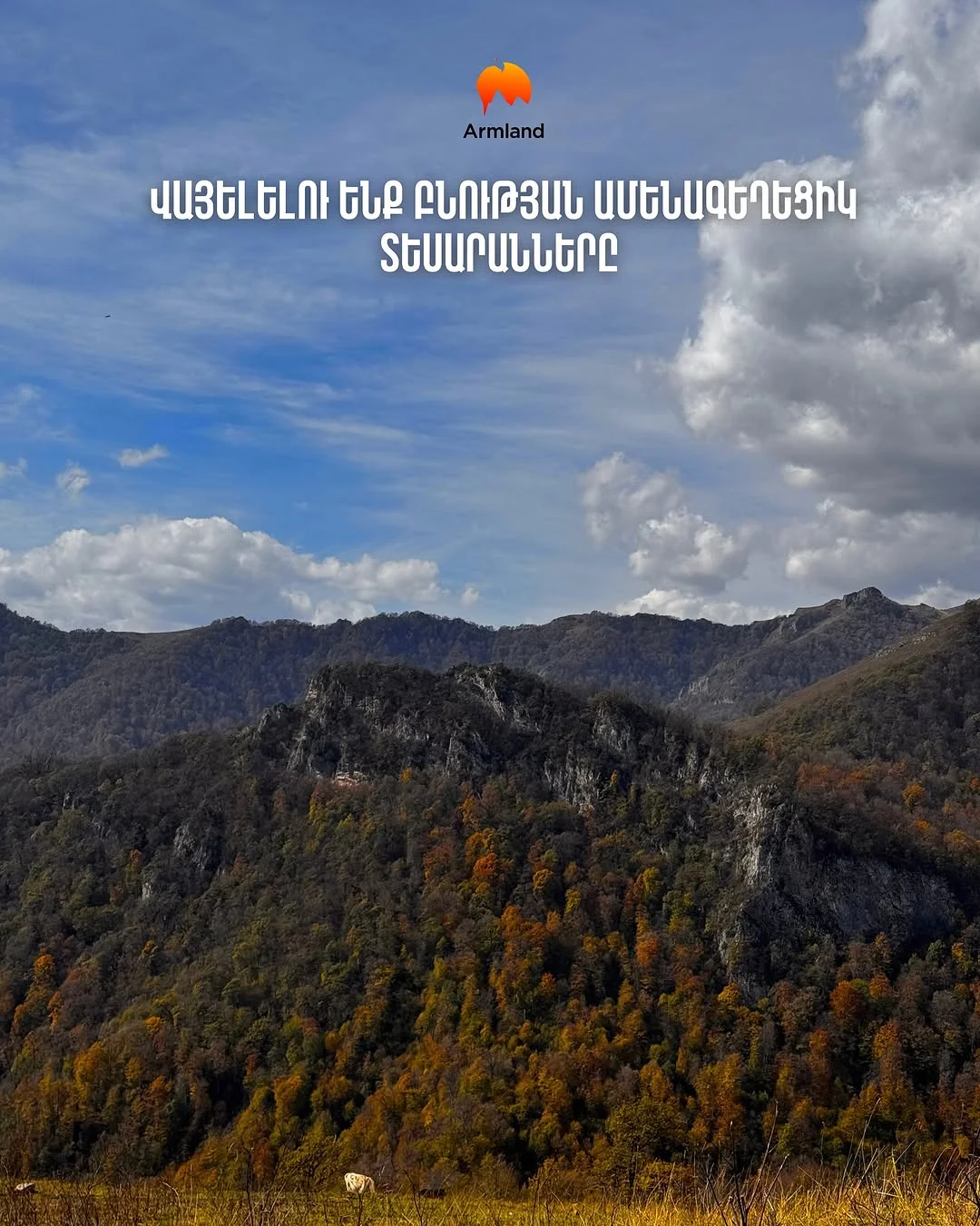 Արշավ Դիմաց լեռ