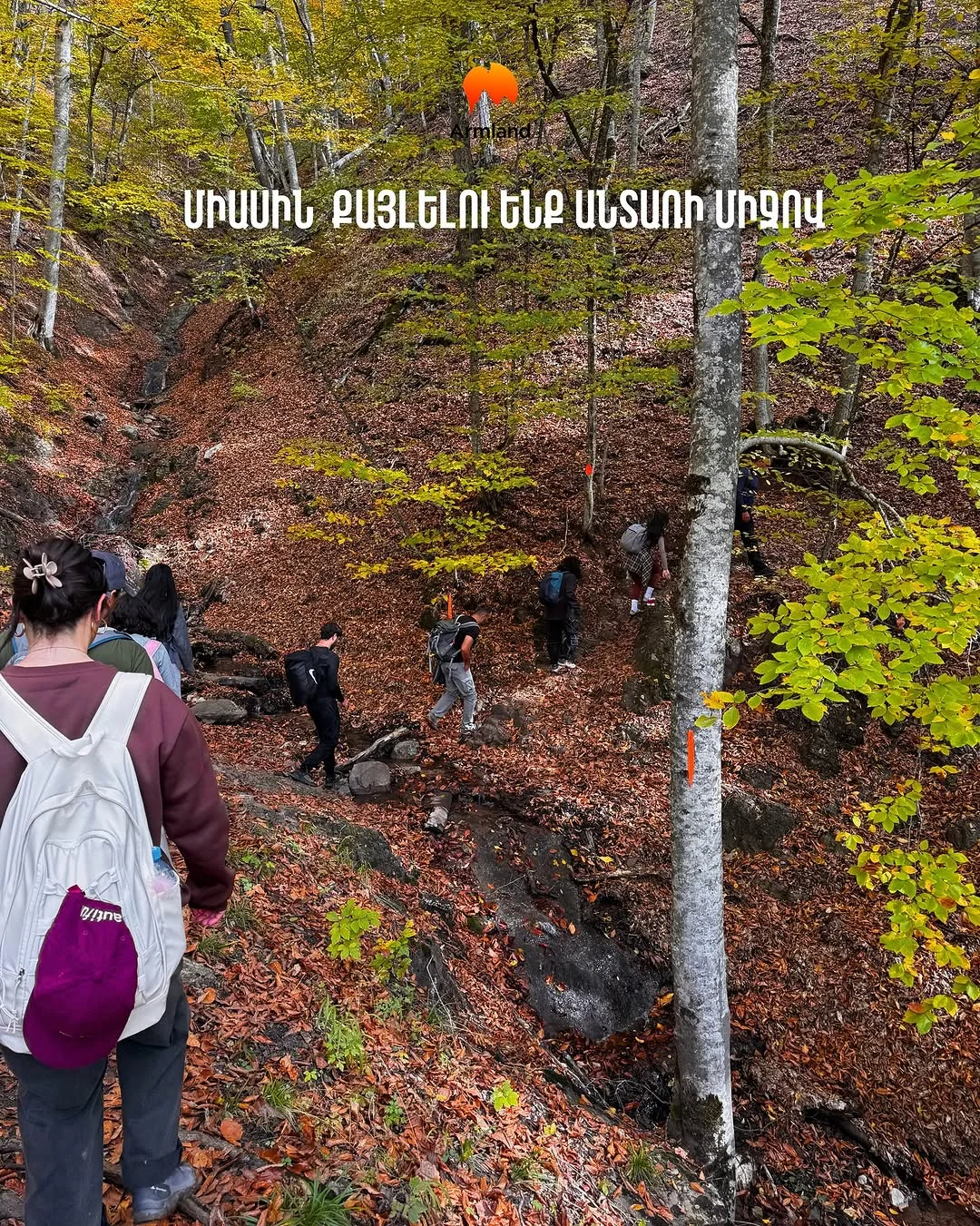 Արշավ Դիմաց լեռ