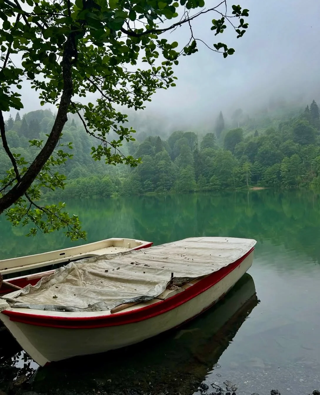 Амшен, Трабзон и Черное море