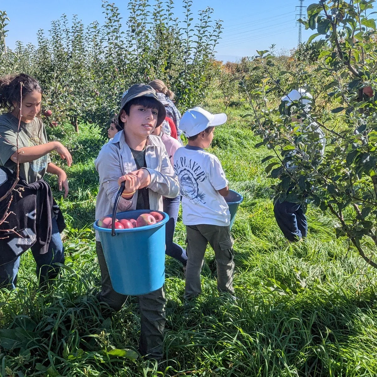 Kids Hike to Mt. Vranasar and Apple Harvest