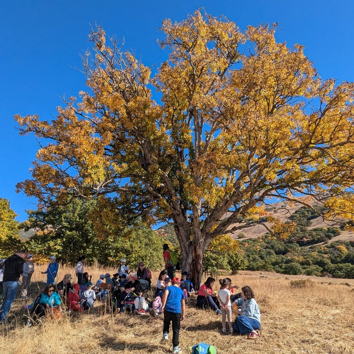 Kids Hike to Mt. Vranasar and Apple Harvest