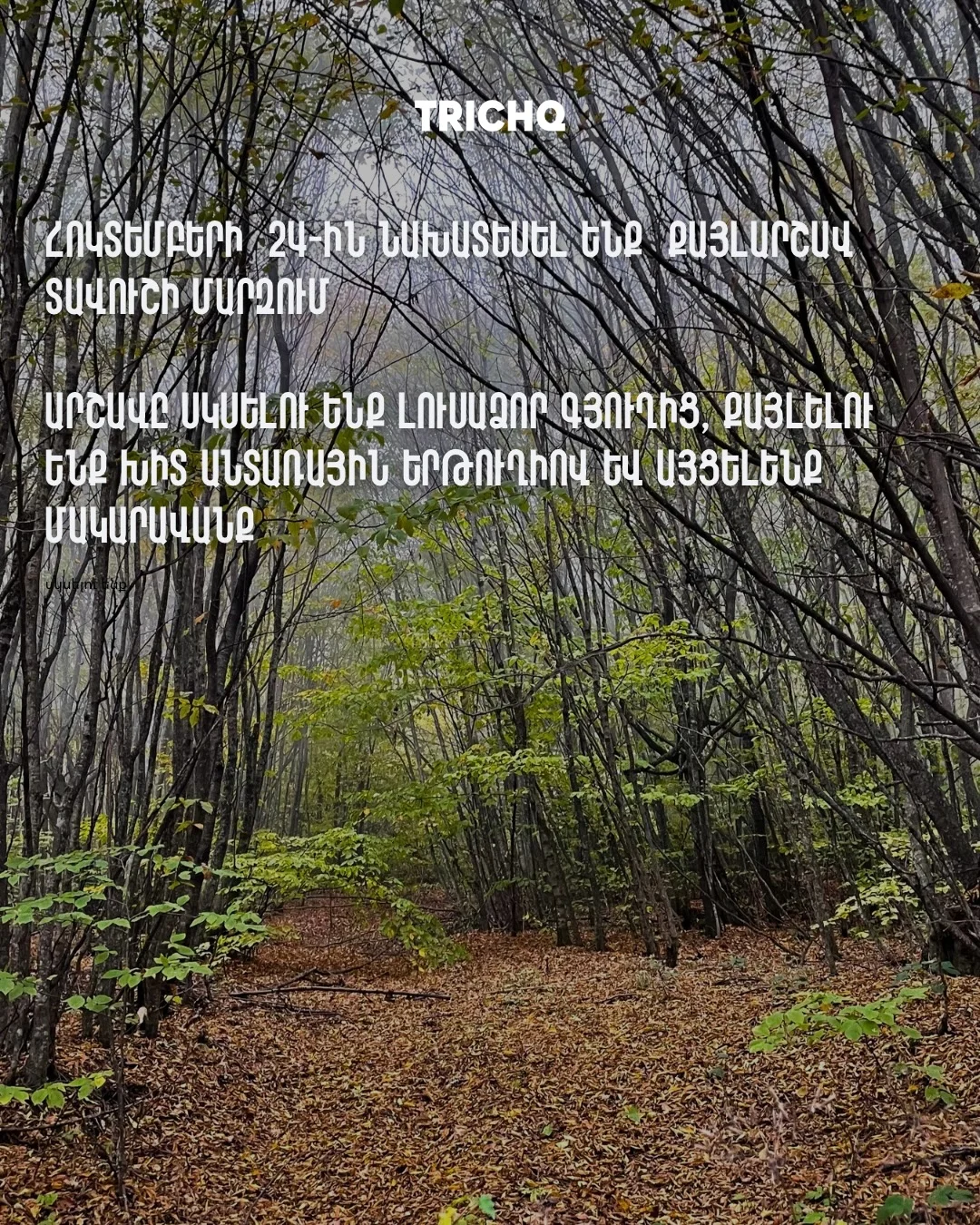 Поход по ущелью Мтнадзор