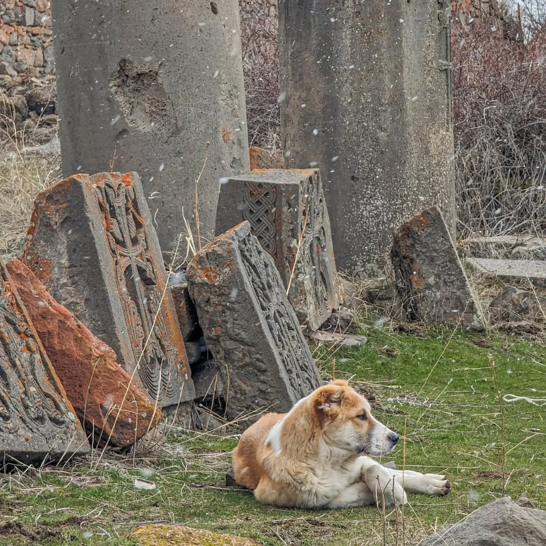 Kids Hike in Khosrov Reserve