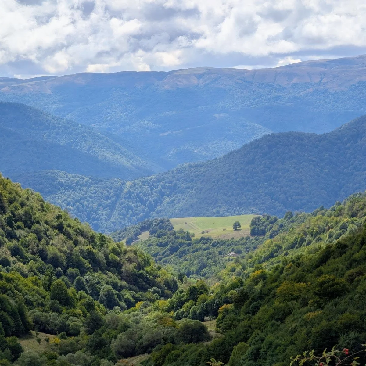 Քայլարշավ Հաղարծնից Դիլիջան