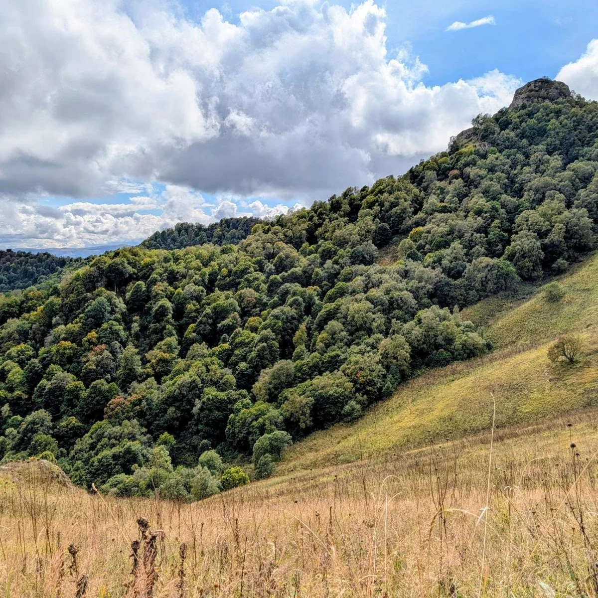 Քայլարշավ Հաղարծնից Դիլիջան