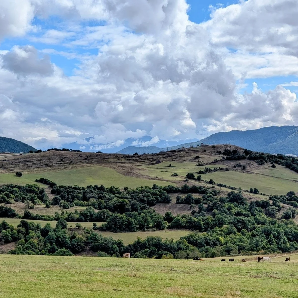 Քայլարշավ Հաղարծնից Դիլիջան