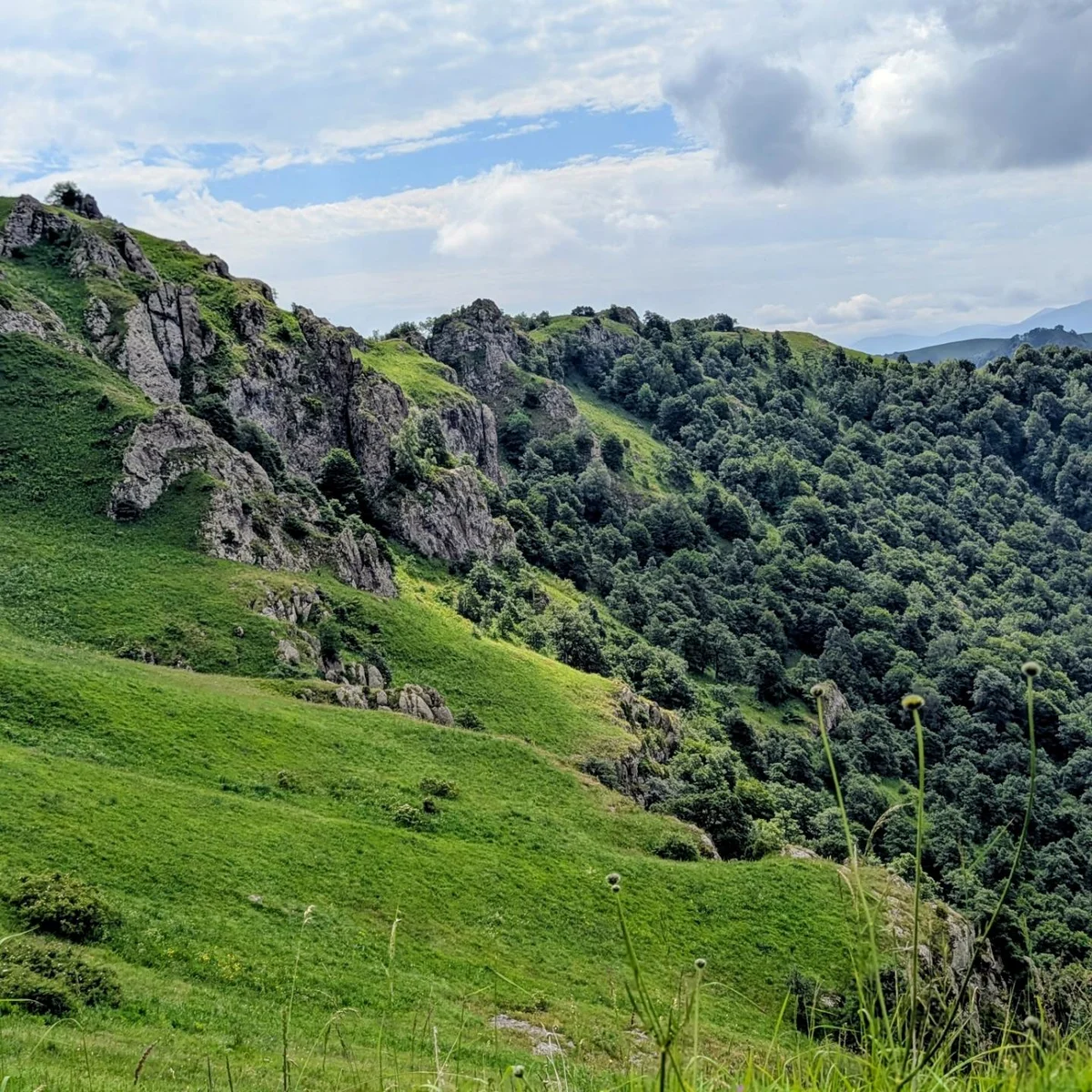 Քայլարշավ Հաղարծնից Դիլիջան