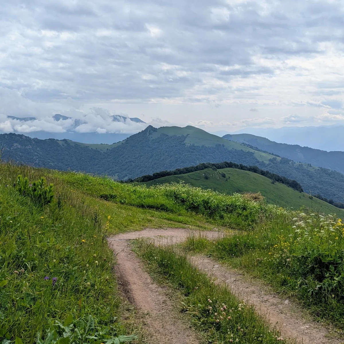 Քայլարշավ Հաղարծնից Դիլիջան