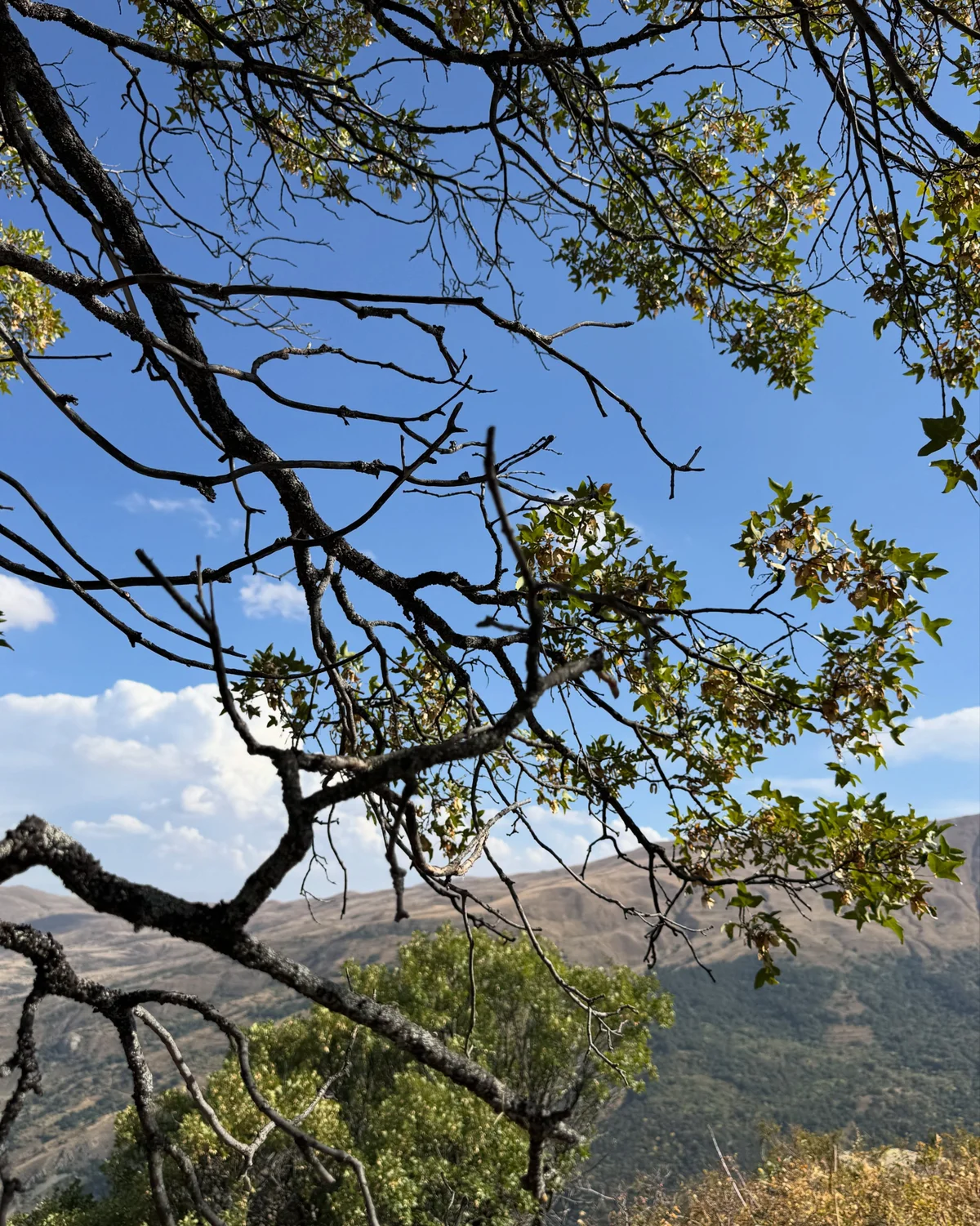 Kalasar Mountain Hike