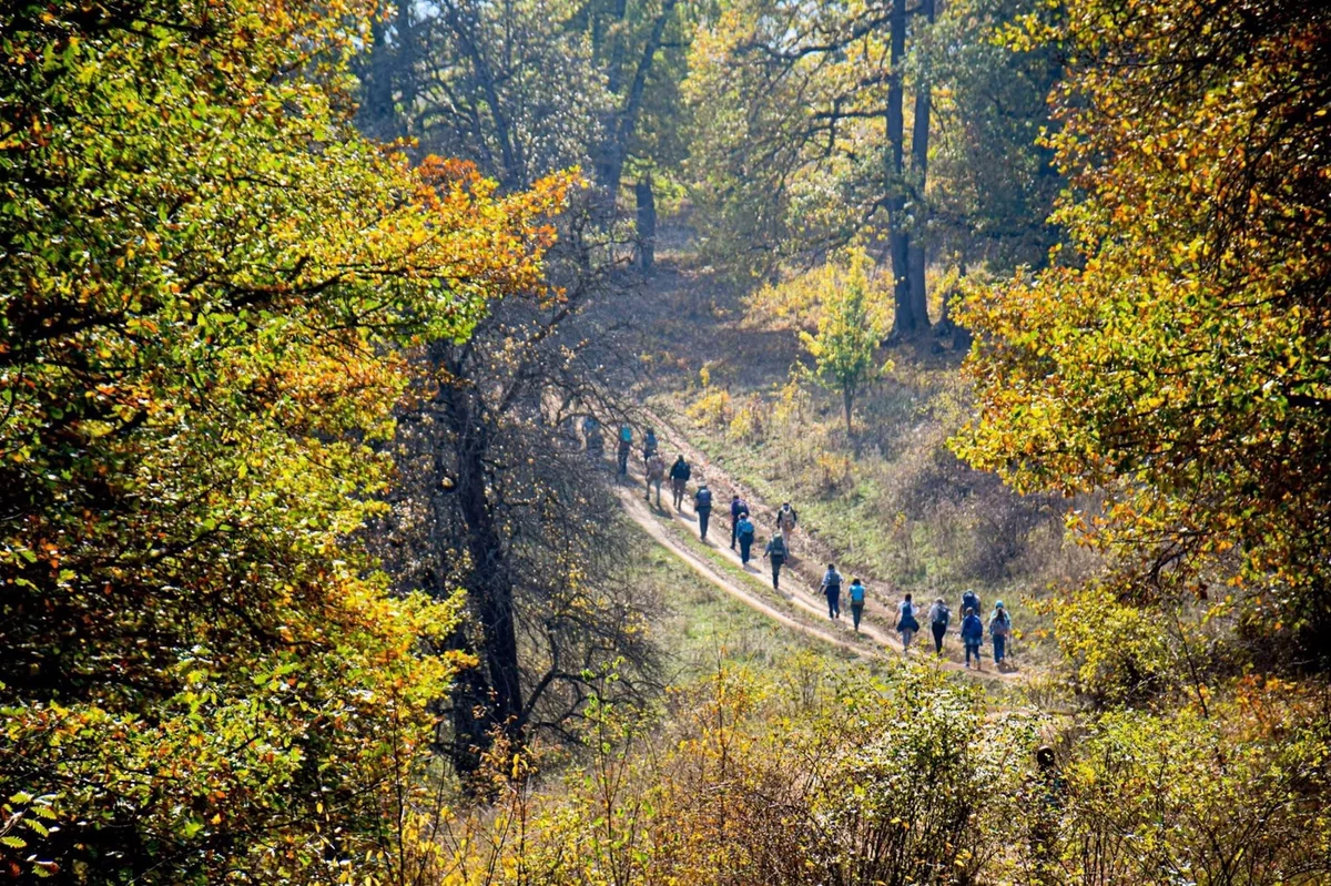 Hike to Mount Arjasar from Gargar