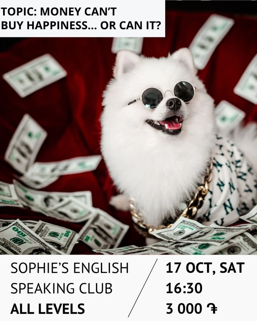 Sophie’s English Speaking Club: Деньги