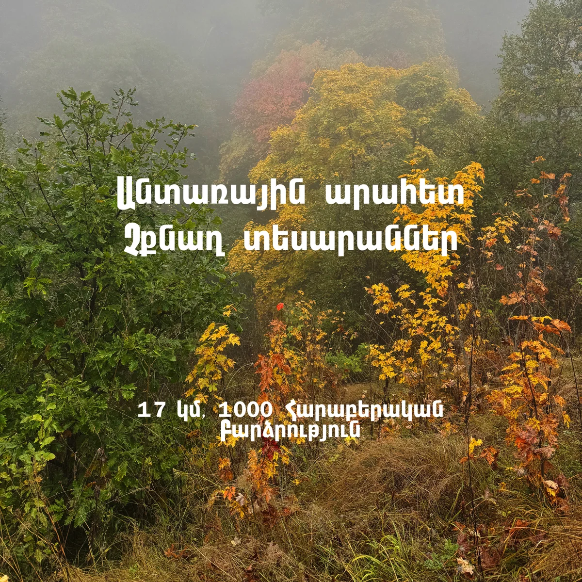 Վերելք Այրիքար լեռ