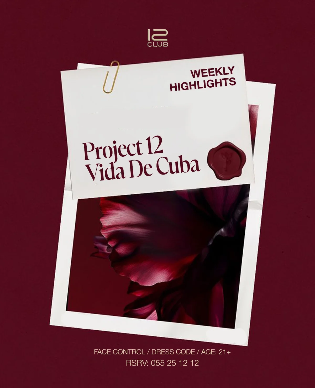 Project 12