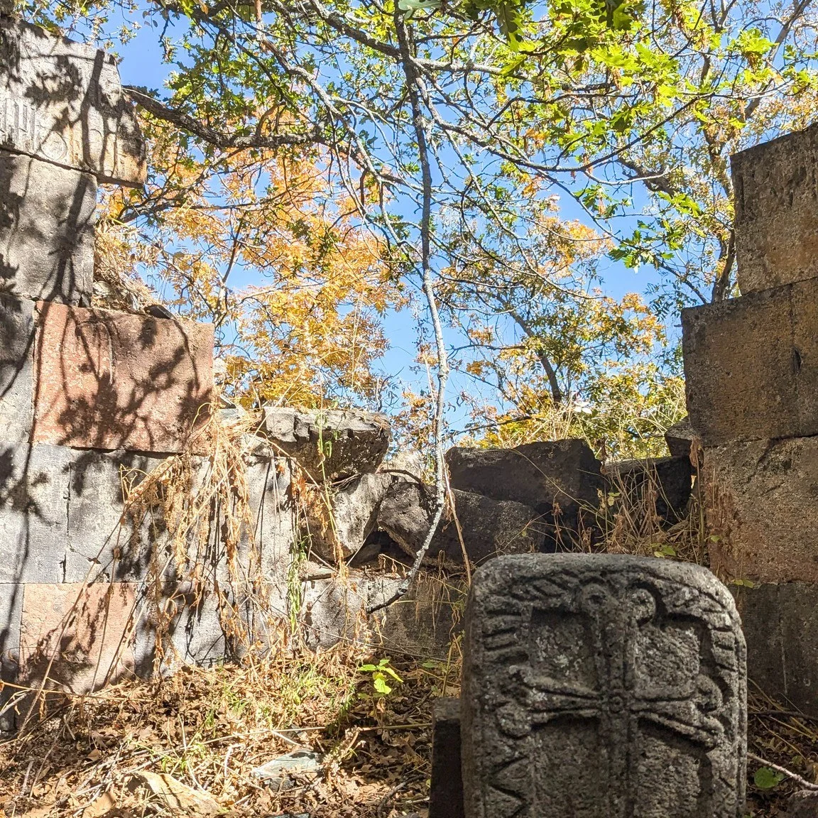 Kids Hike to Arzakan-Meghradzor Reserve