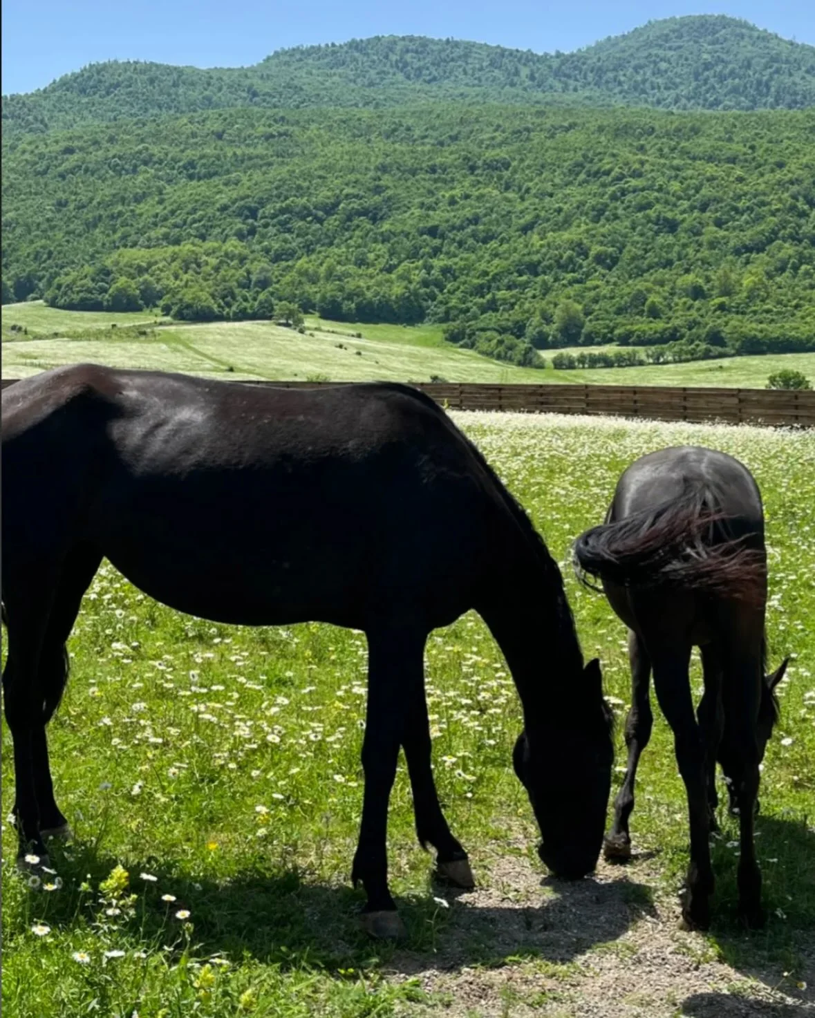 Hike to Lastiver and Getahovit Waterfall