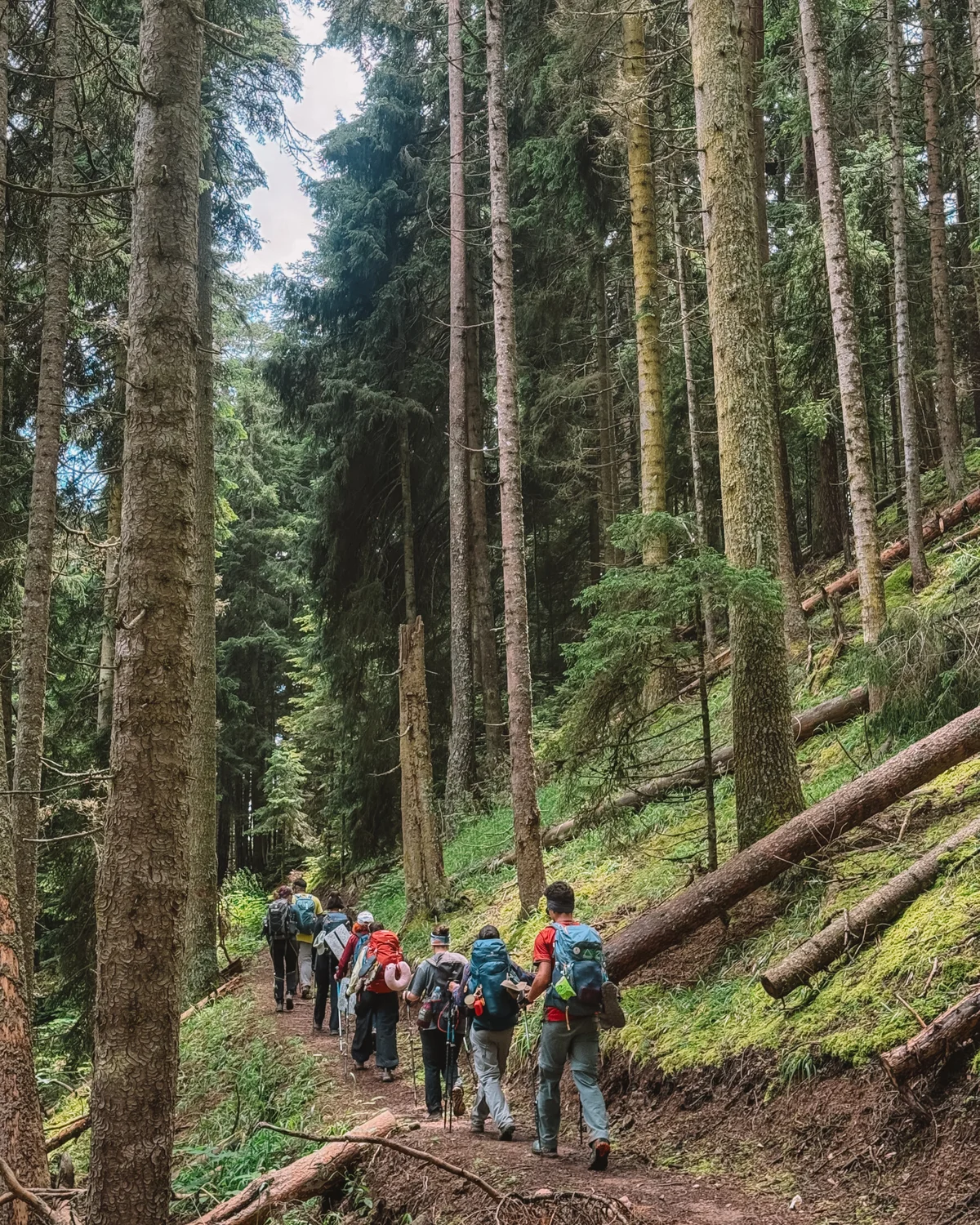 Borjomi-Kharagauli National Park