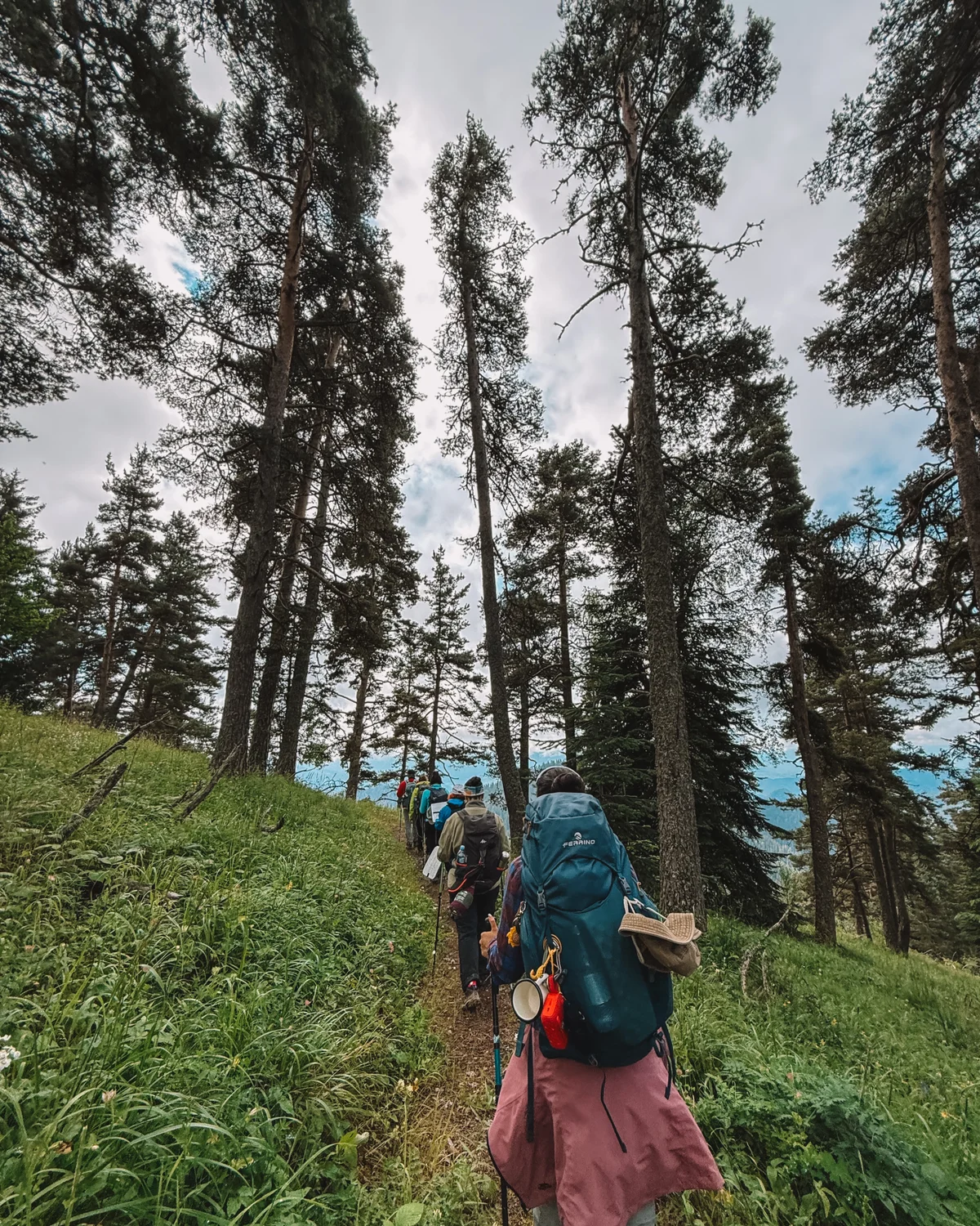 Borjomi-Kharagauli National Park