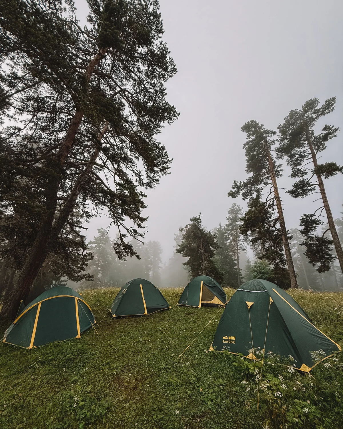 Borjomi-Kharagauli National Park