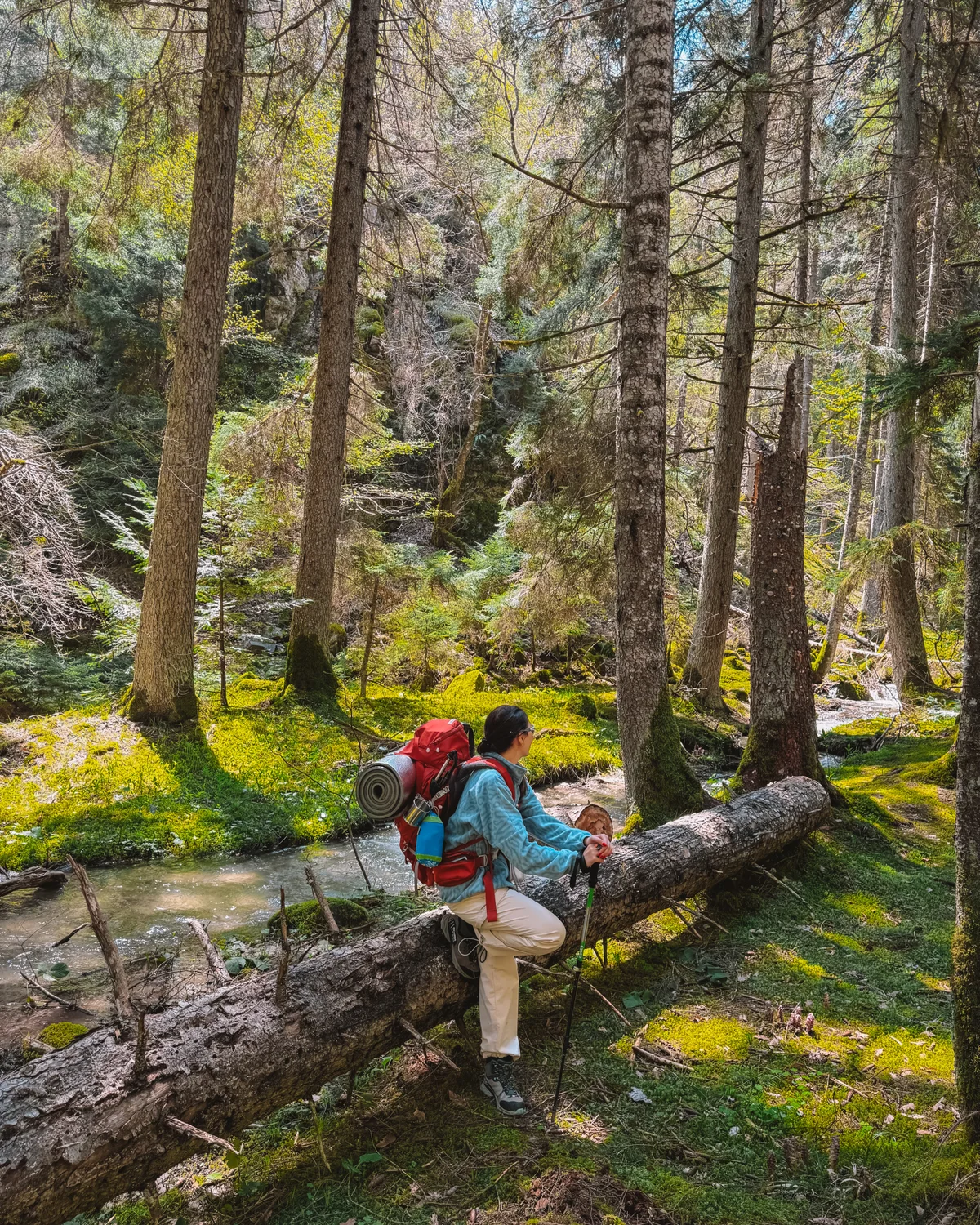 Borjomi-Kharagauli National Park