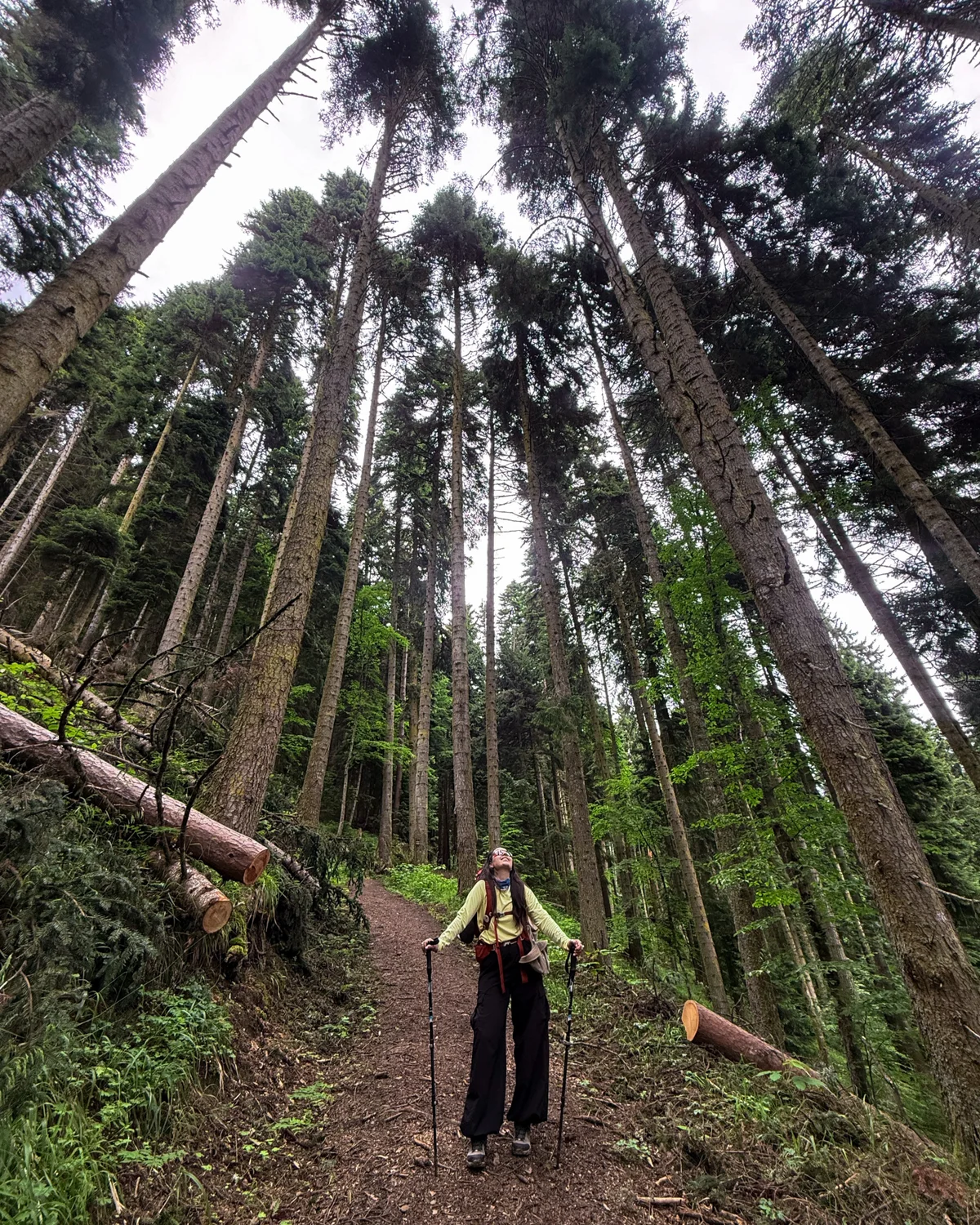 Borjomi-Kharagauli National Park