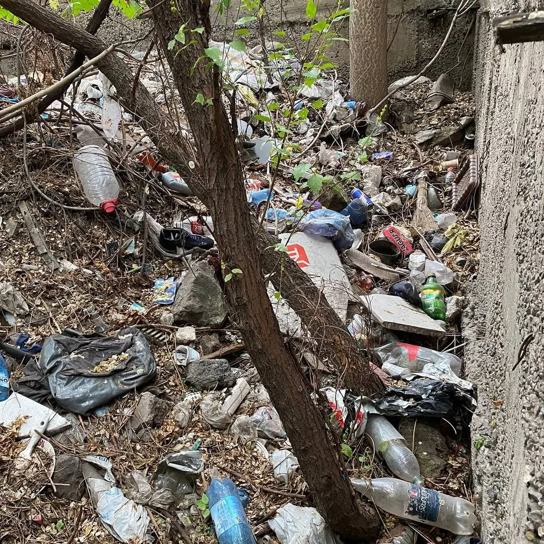 Субботник Green Green в центре Еревана