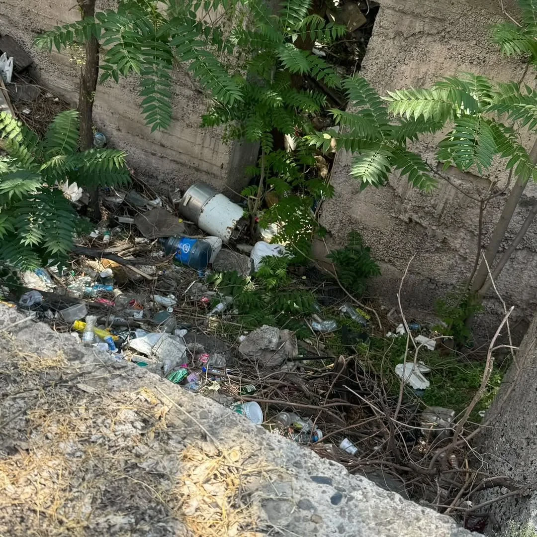 Субботник Green Green в центре Еревана