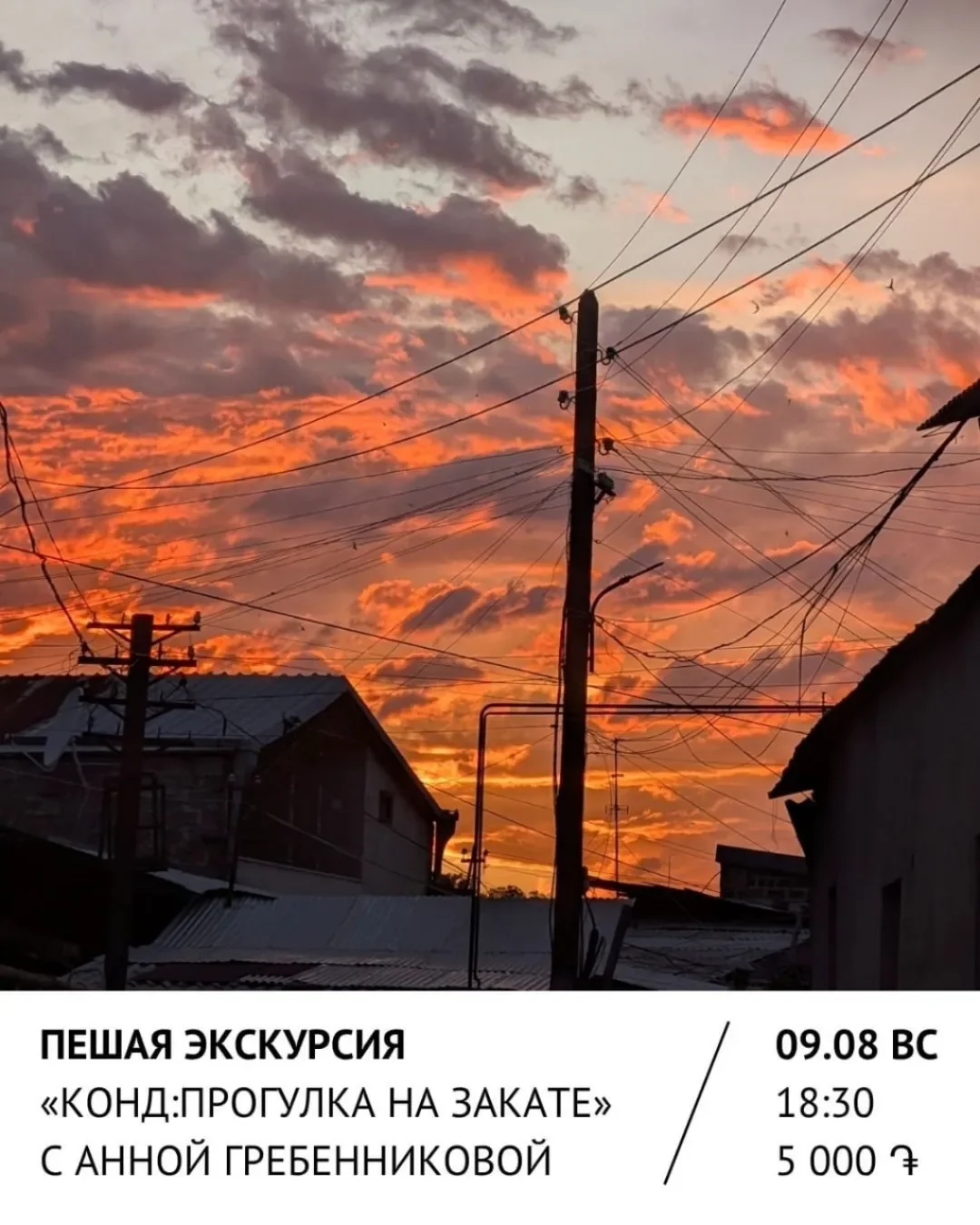 Конд: прогулка на закате