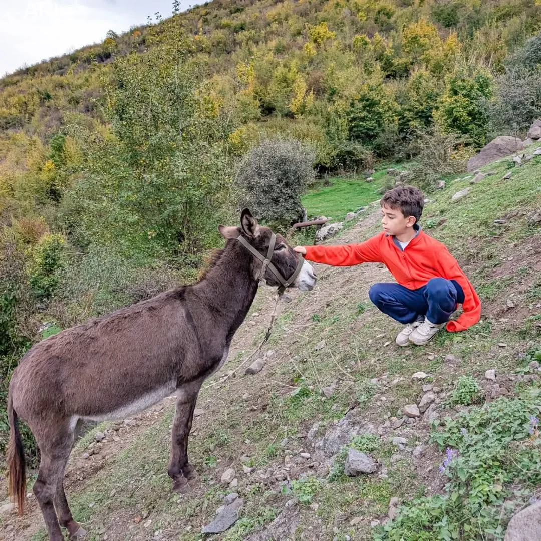 Three-Day Summer Camp in Gargar