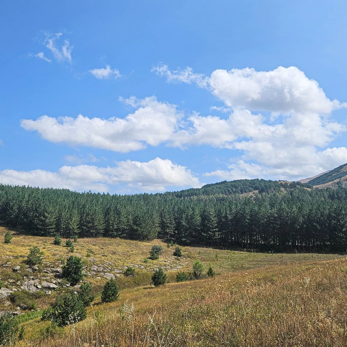 Խոխա արշավ Աղավնո լեռ եւ Ապարանի ջրամբար
