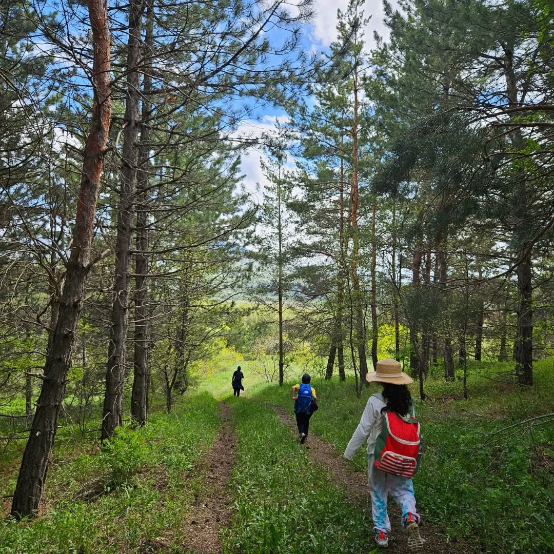 Kids hike to Aparan reservoir