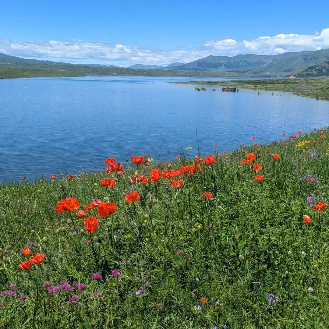 Kids hike to Aparan reservoir