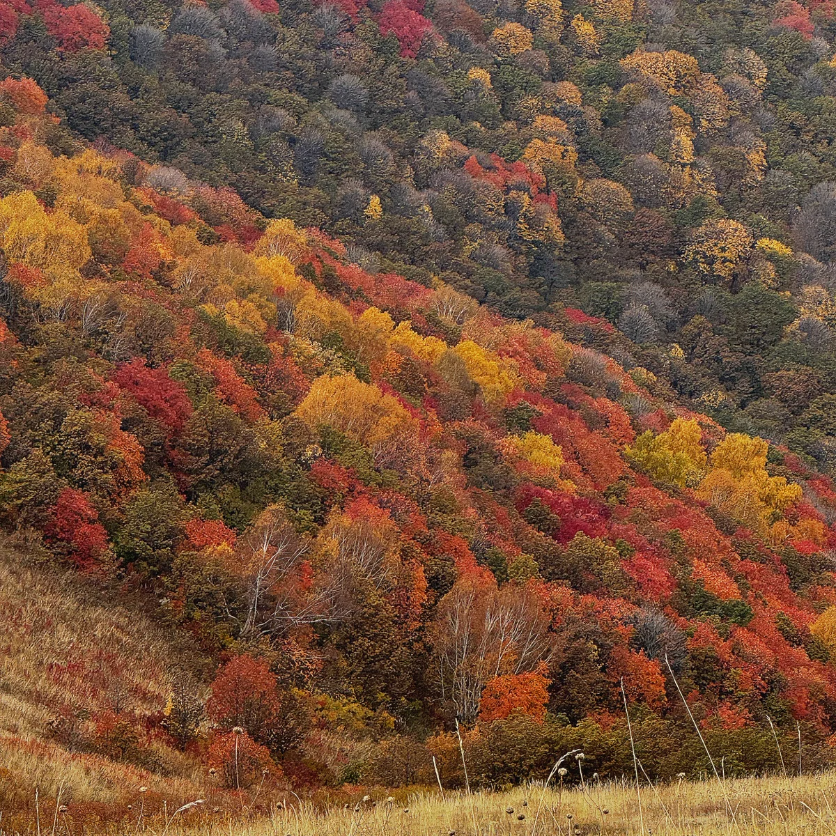 Hiking to Mount Ara