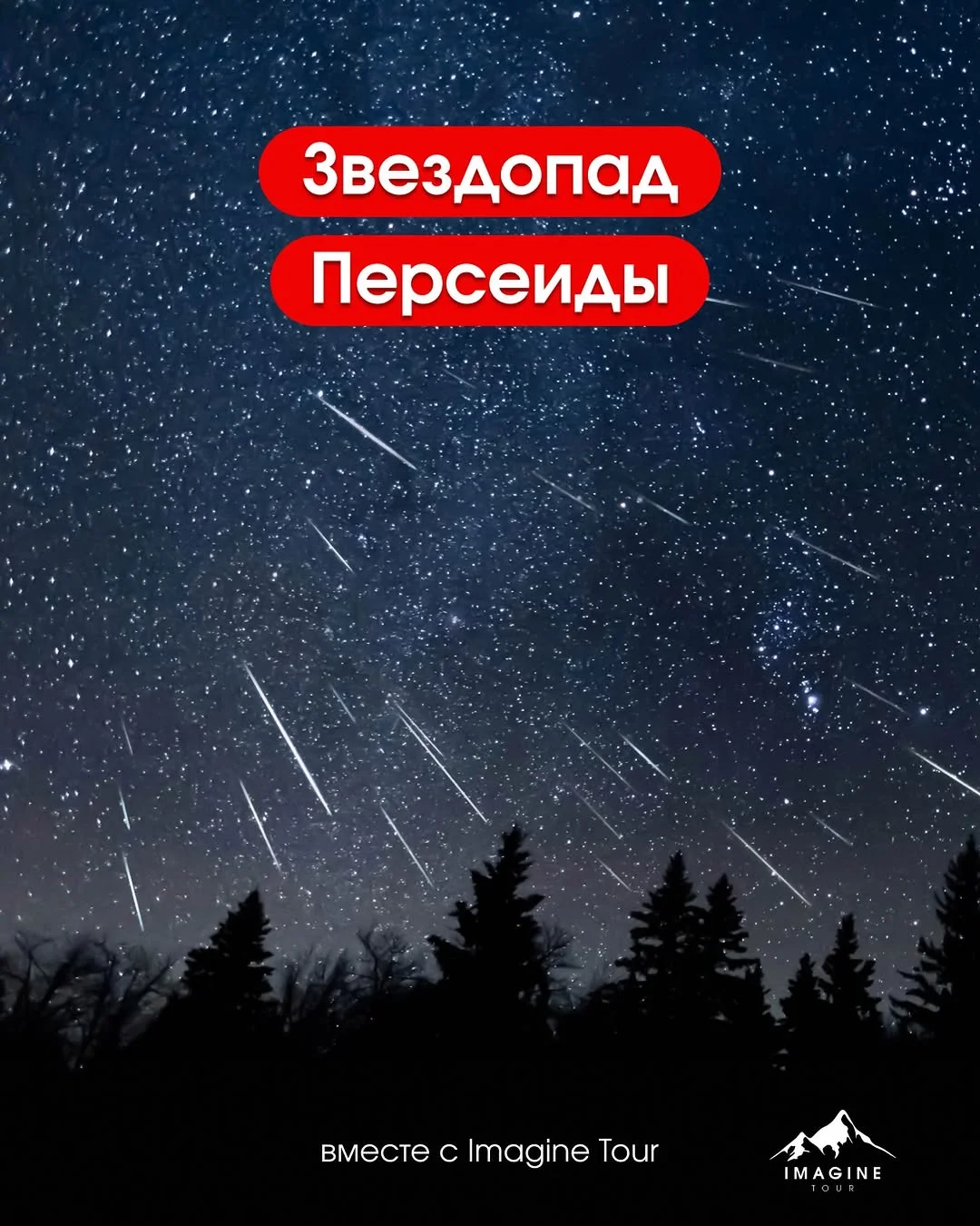 Perseids Meteor Shower
