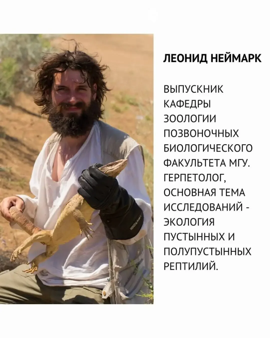 Как рептилии регулируют температуру тела?