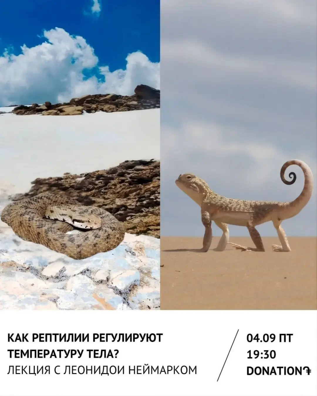 Как рептилии регулируют температуру тела?
