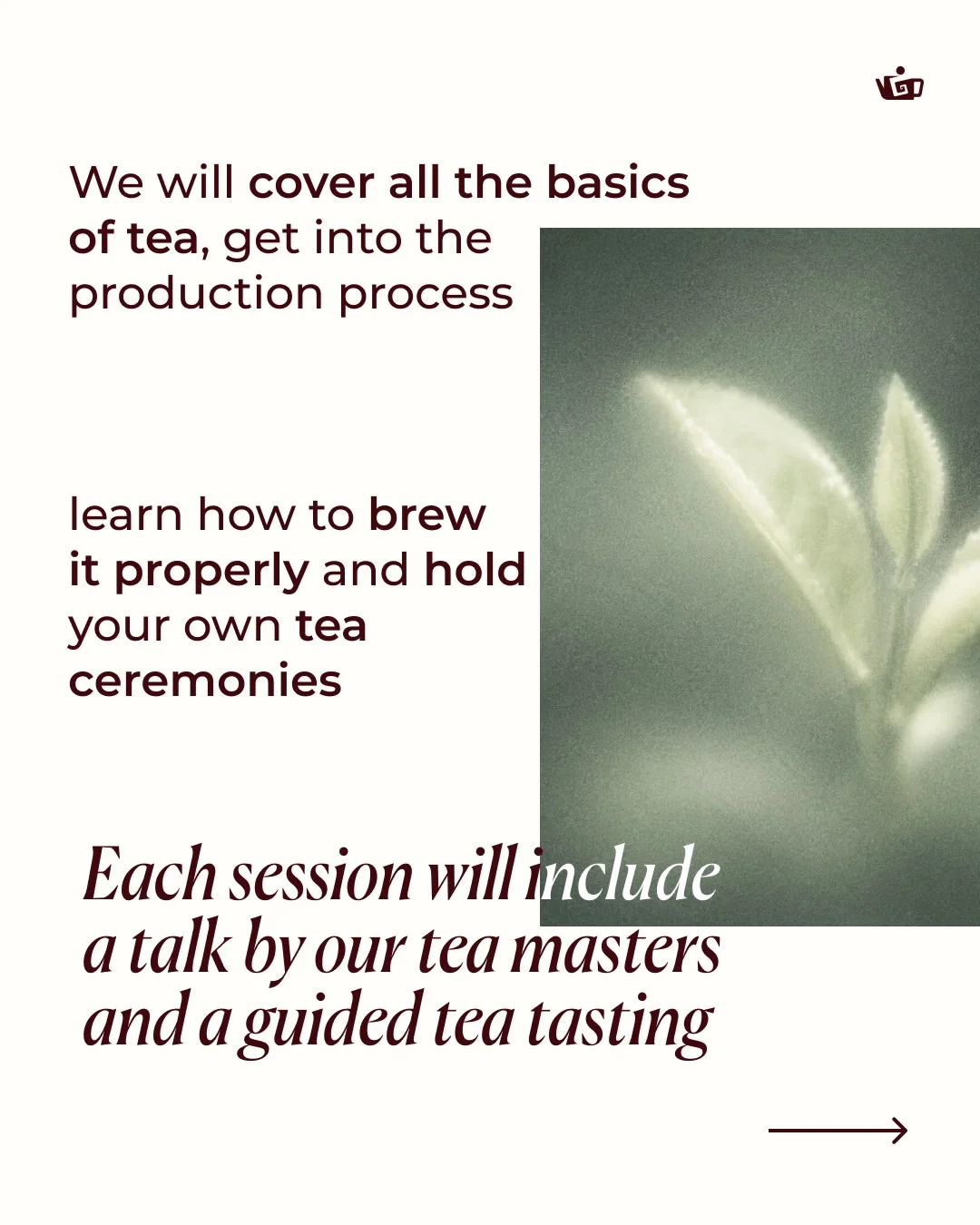 Tea Regions of China