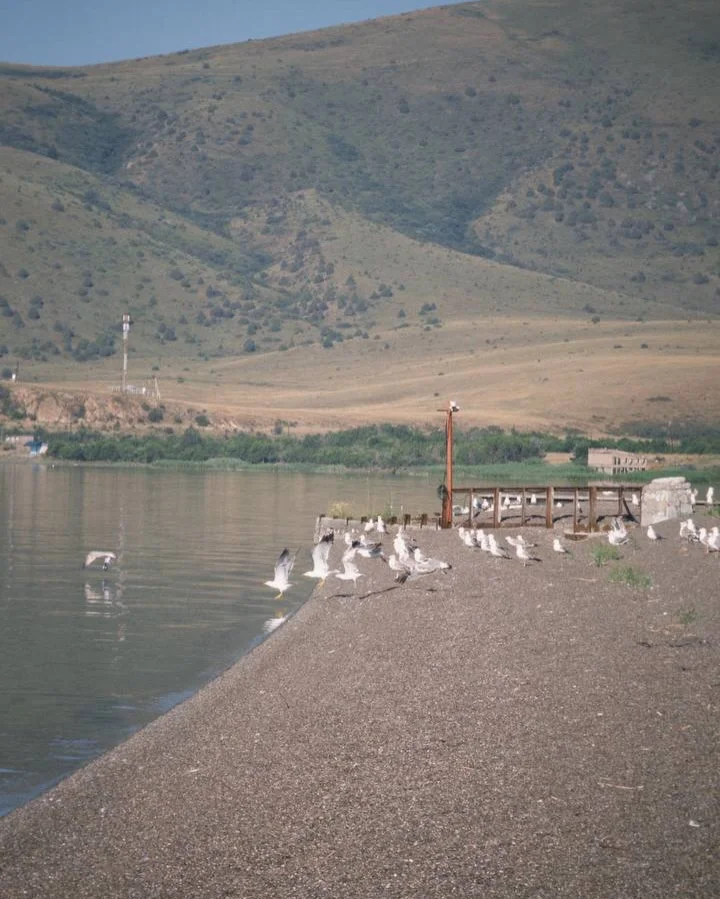 Արտ-ճամբար Սևանում