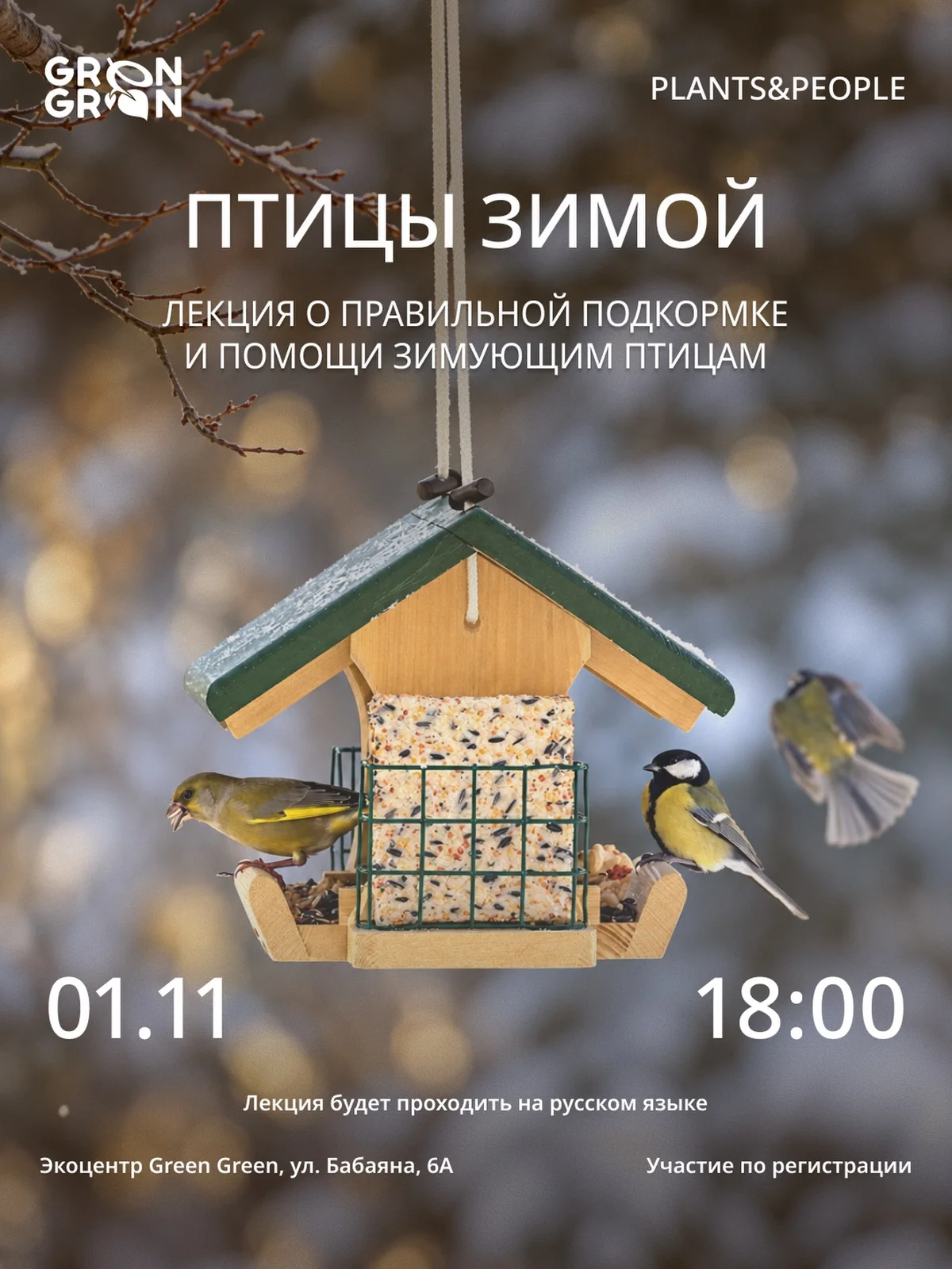 Winter Birds: Ilya Davydov