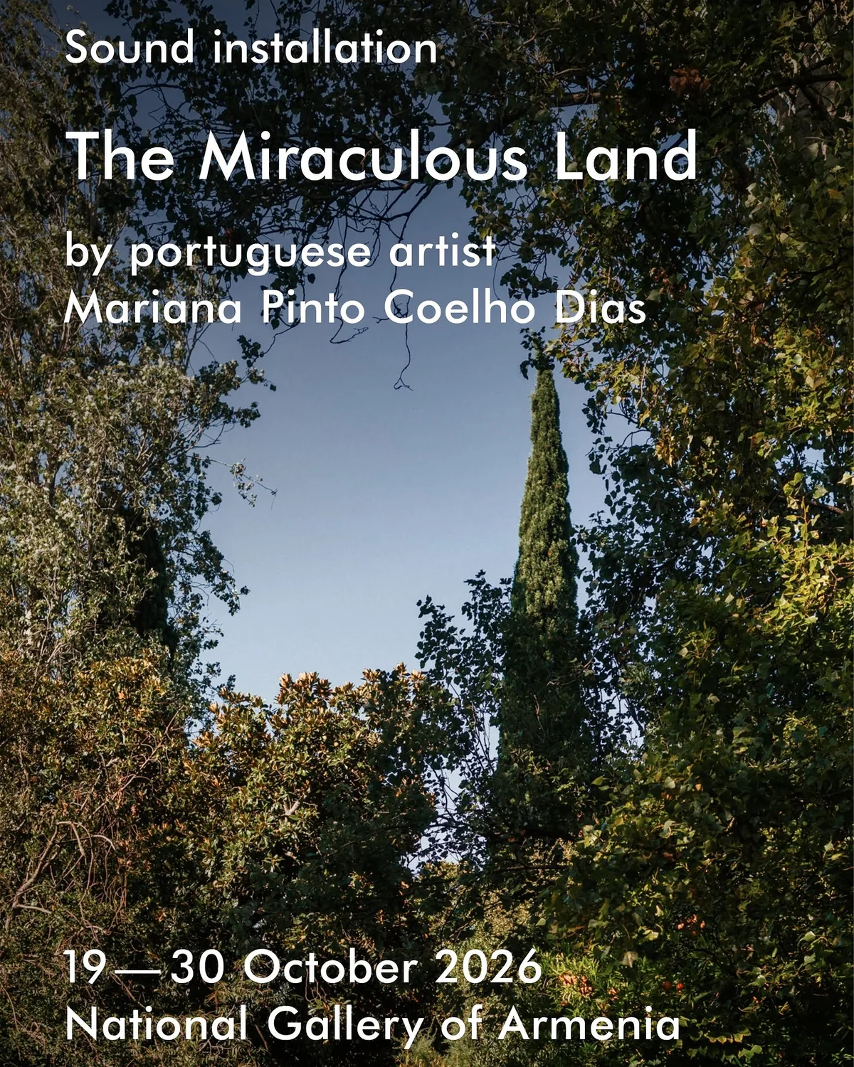 The Miraculous Land: Mariana Pinto Coelho Dias