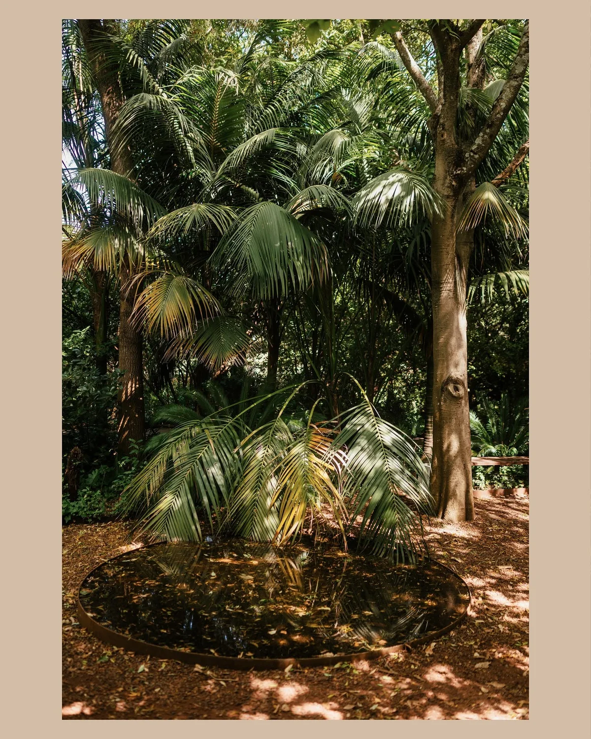 The Miraculous Land: Mariana Pinto Coelho Dias